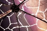 Rain Weekly Assignment (due 11/3/2018)