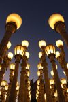 CW_IMG_3884