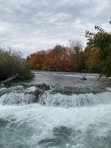 Niagara Falls, NY