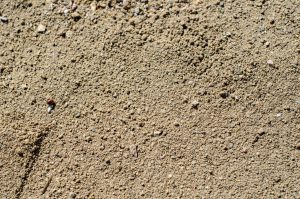 Beige sand from my backyard. Notice how prominent the shadows of each pebble are, despite being so small in actuality.