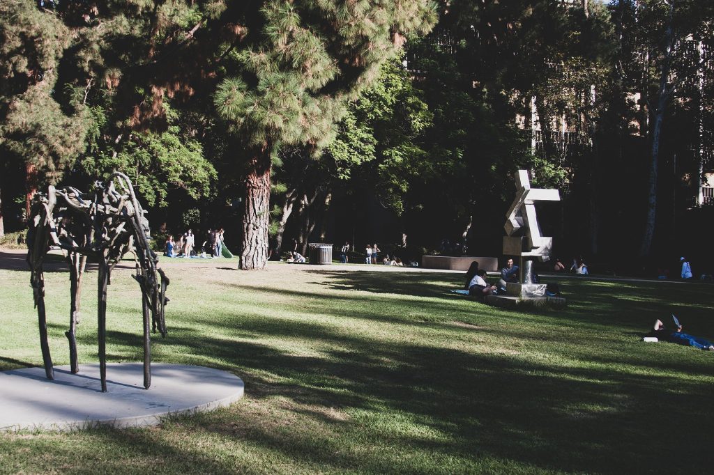As afternoon turns to evening, the tall trees surrounding the Sculpture Garden cast shadows along the grass.