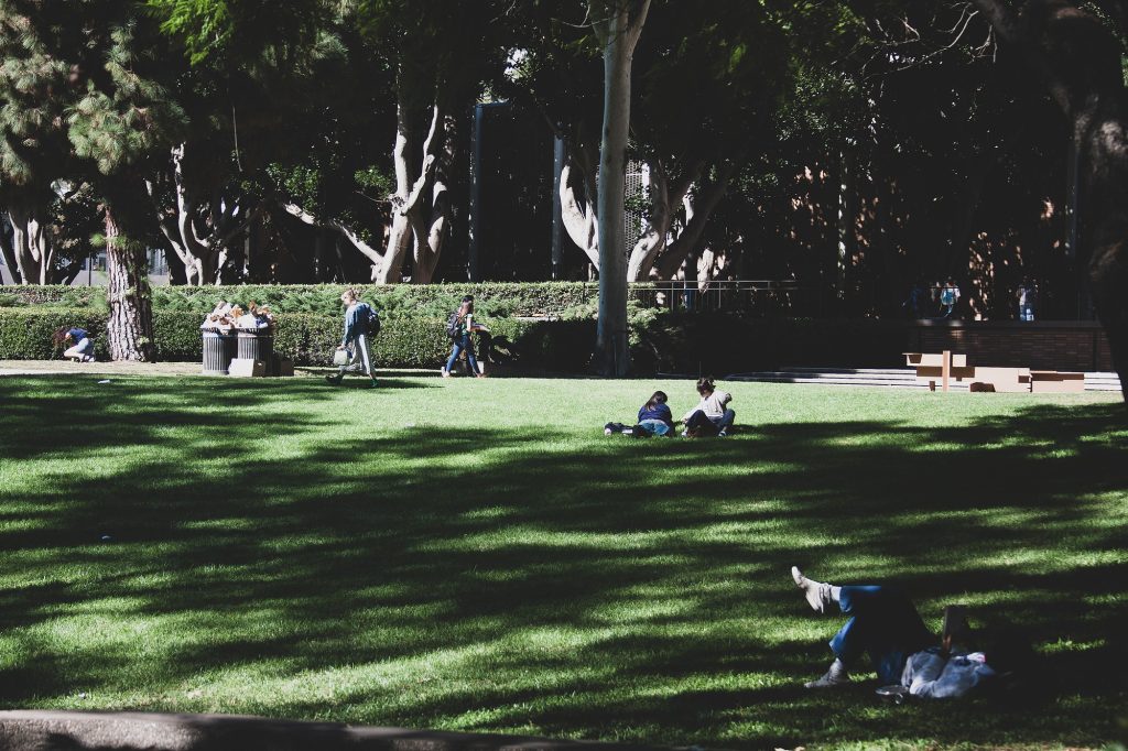 Many students from North Campus choose to sit and enjoy the beautiful art that surrounds them in the Sculpture Garden.