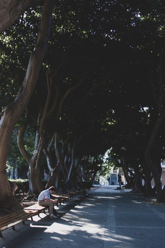 A student sits at a bench near the Sculpture Garden. Benches surrounding the Sculpture Garden are often covered in shade, and they offer a view of the garden as well as Macgowan Hall.