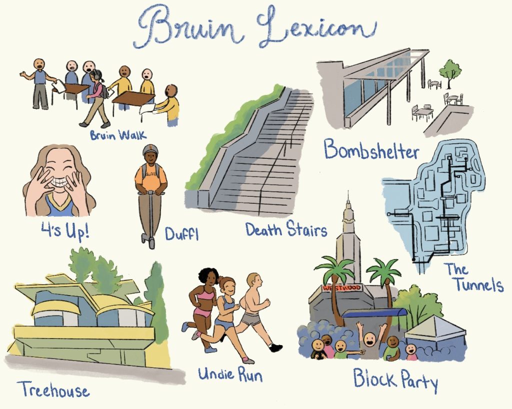 Illustration by Annabel Braunstein/BruinLife.