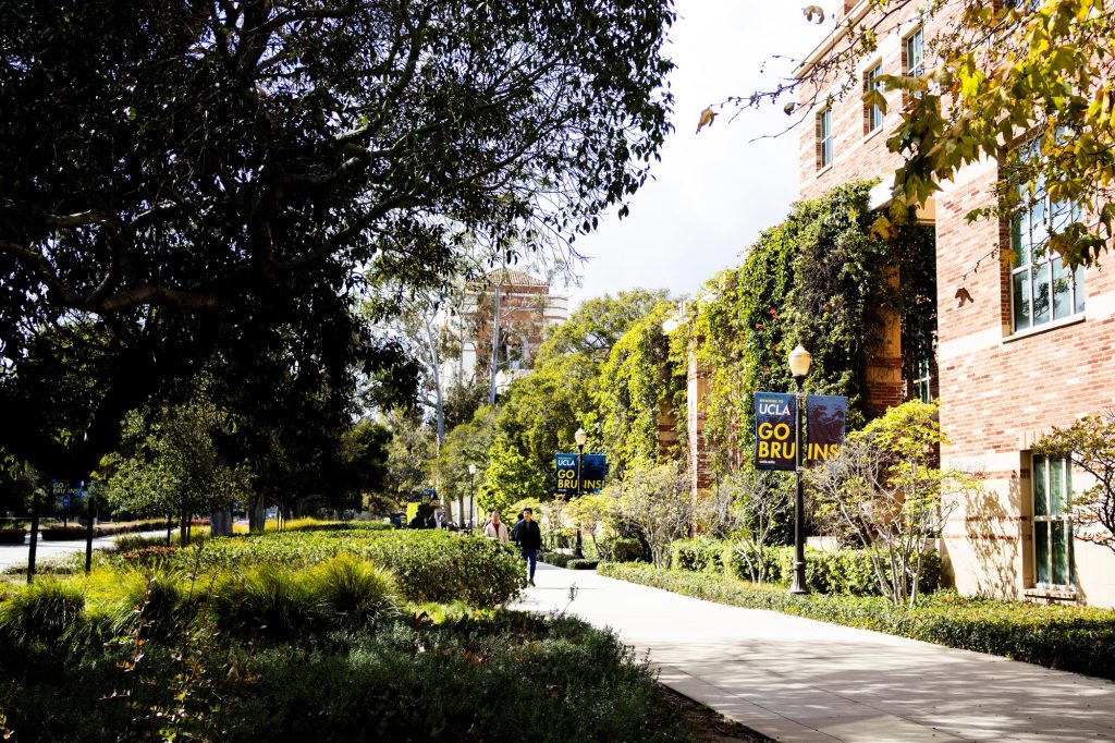 The path from Dodd Hall and the UCLA School of Law is green and leafy in the spring. Photographed by Julia Gu/BruinLife.