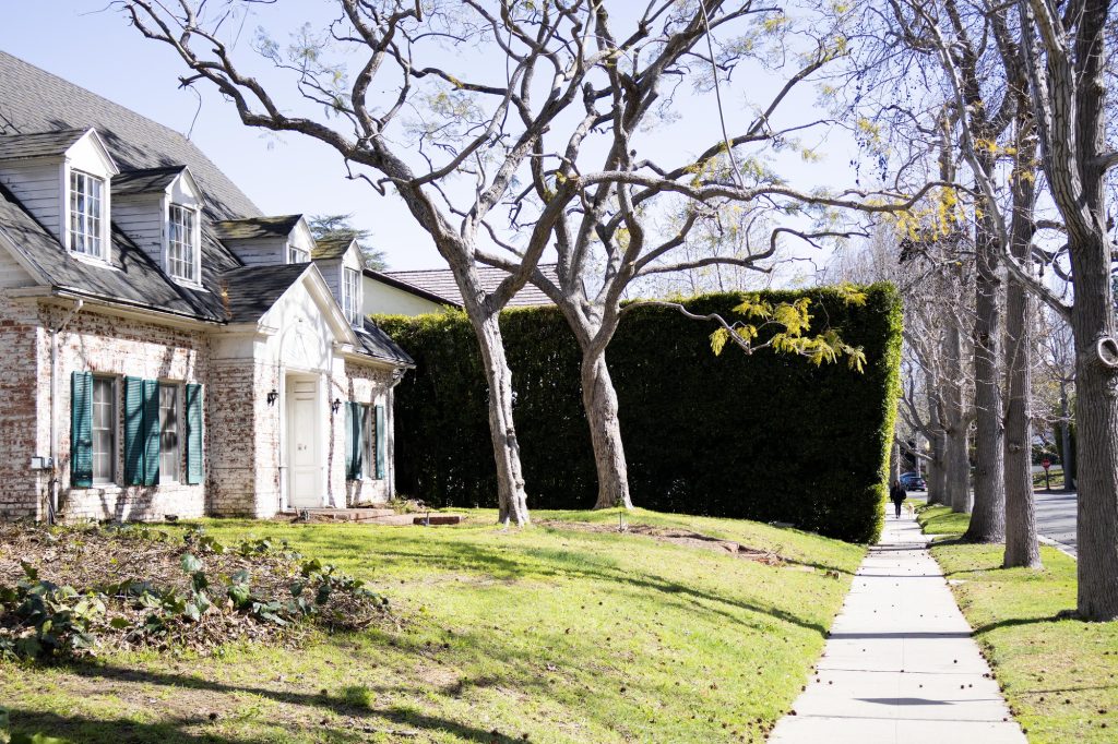 A Georgian brick house stands on a corner as its trees show their first leaves of the year. Photographed by Julia Gu/BruinLife.
