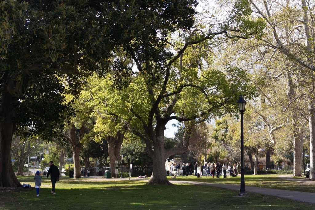 Holmby Park has no shortage of shade in the spring. Photographed by Julia Gu/BruinLife.