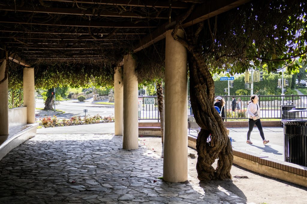 A vine-covered pergola borders the playground. Photographed by Julia Gu/BruinLife.