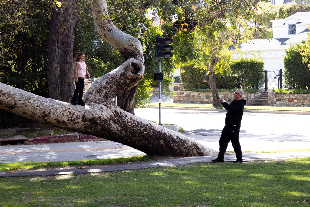 A girl poses on a tree by the five-way intersection neighboring Holmby Park. Photographed by Julia Gu/BruinLife.