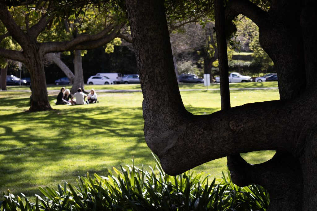 Picnickers enjoy a long chat in the sunshine and open air. Photographed by Julia Gu/BruinLife.