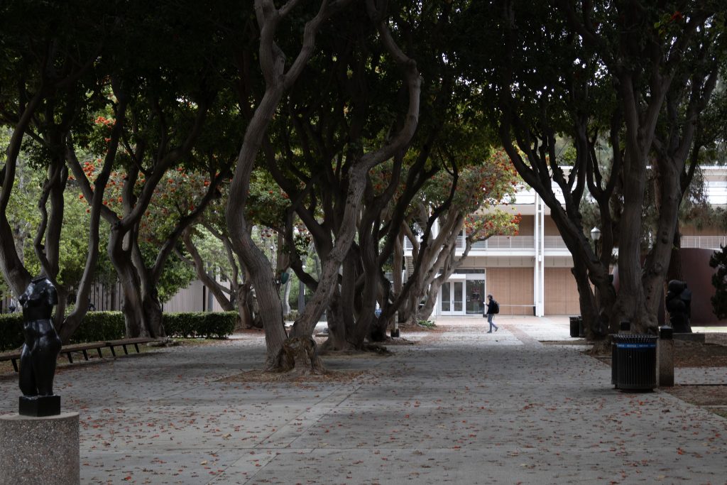 Photographed by Julia Gu/BruinLife.