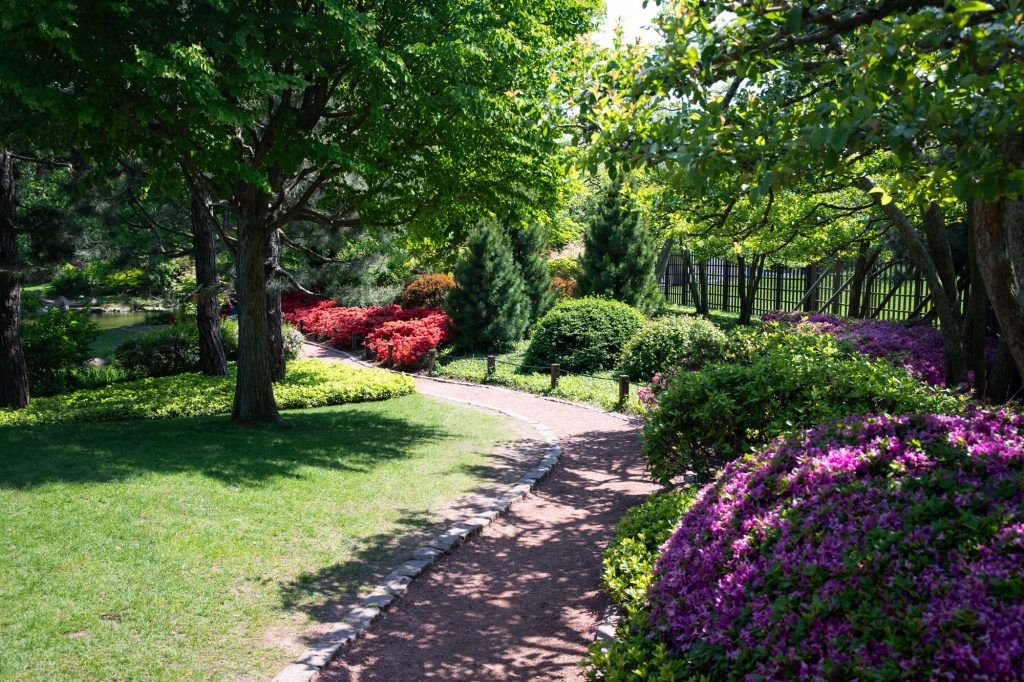 A loop of the Japanese garden. Photographed by Finn Martin/BruinLife.