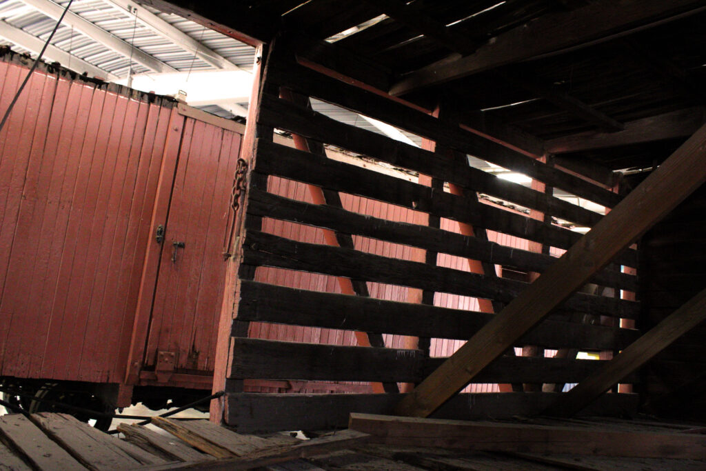 A cow's eye view from inside a 1890s cattle car. Photo by Gavin Meichelbock/BruinLife.