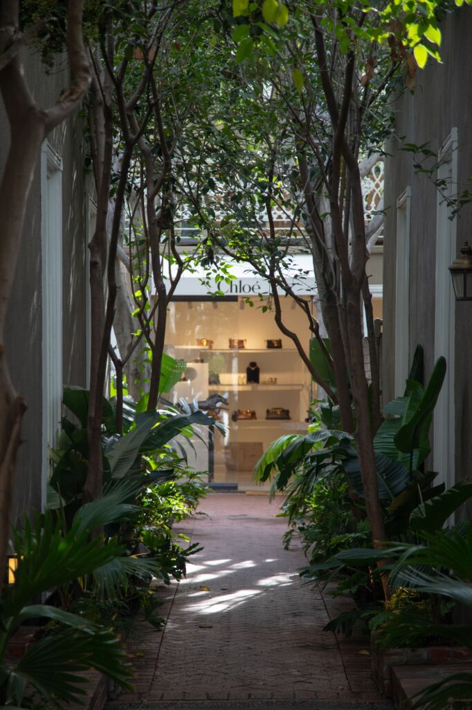 The alley way towards Chloé on Melrose Pl. Photographed by Aaron Fu/BruinLife.